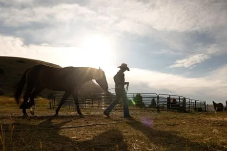 Meet the American Women Ranchers Transforming Modern Ranch Life