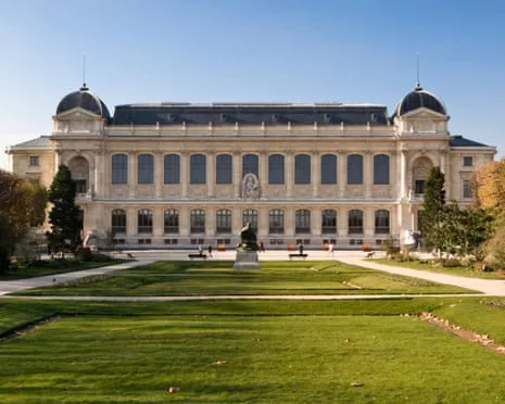 Historic Gold Pieces Taken in Audacious Robbery at French Natural History Museum